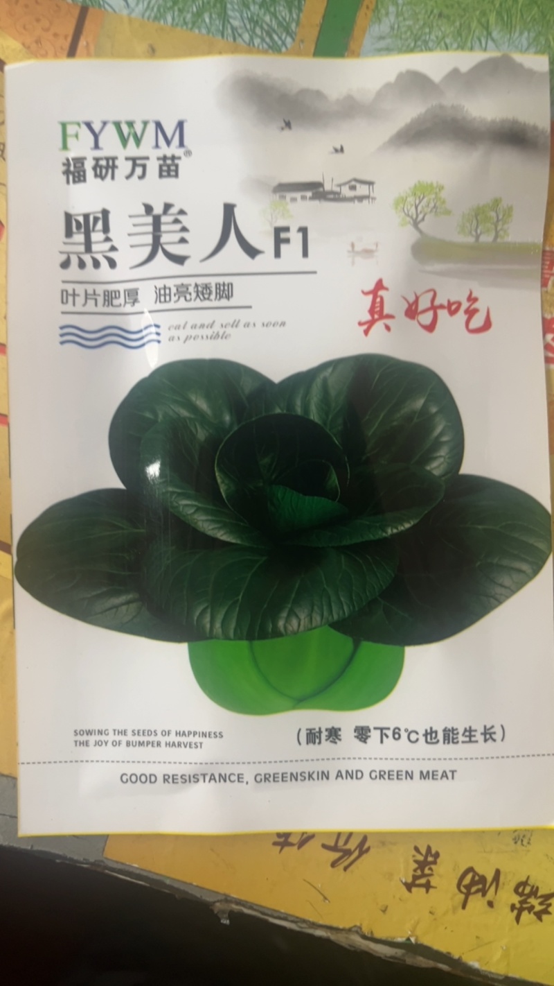 黑精灵，苏州青类型一代杂交种。