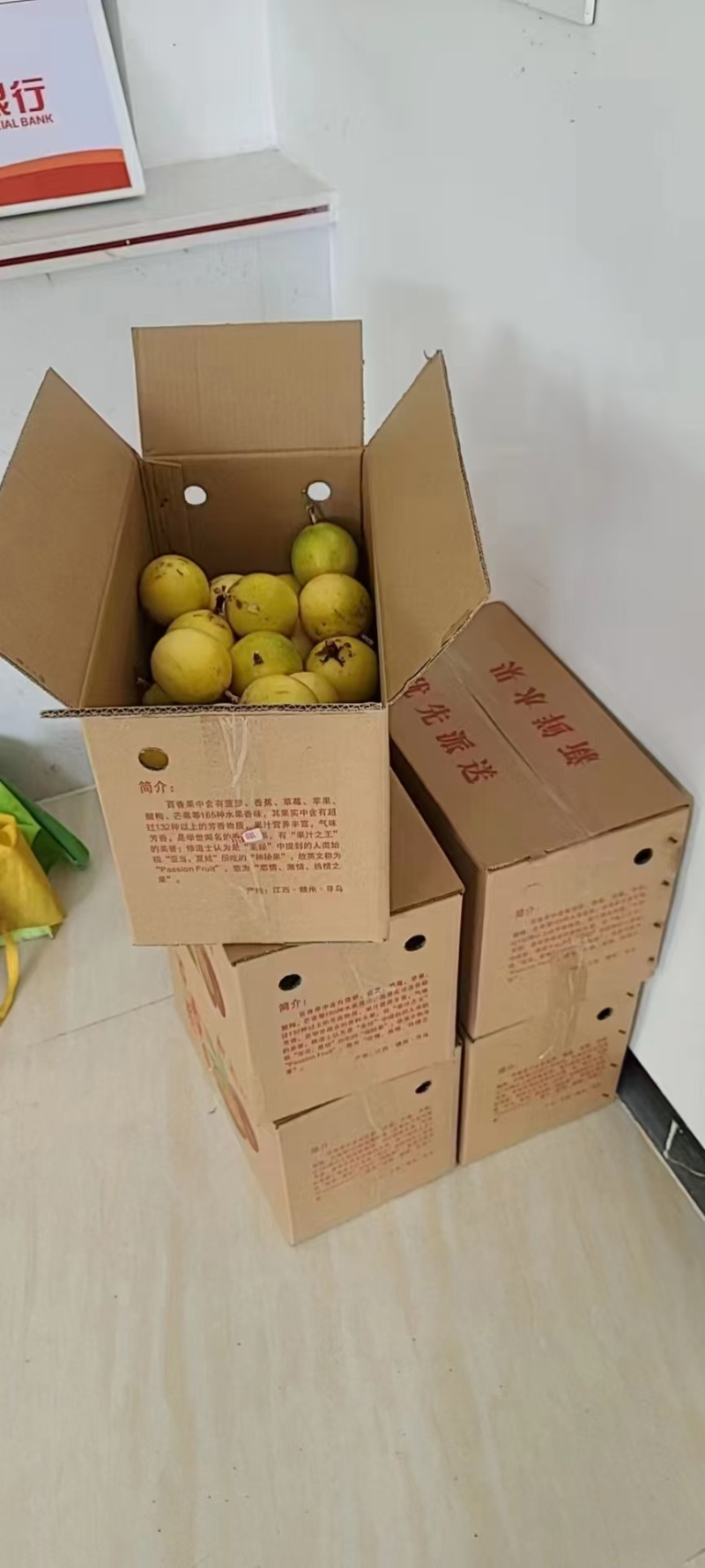 百香果开始采摘了，香气扑鼻，美味，有需要的老板可以来联系