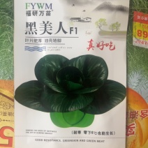 黑精灵，苏州青类型一代杂交种。