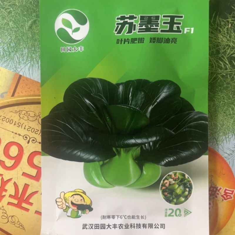 苏墨玉叶片肥嫩，矮脚油亮粗纤维少口感软糯