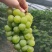 香芋葡萄