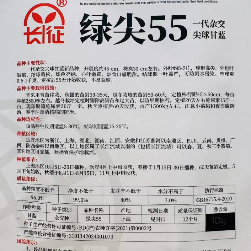 一代杂交尖球甘蓝新品种球色亮绿心叶嫩黄炒食口感脆甜