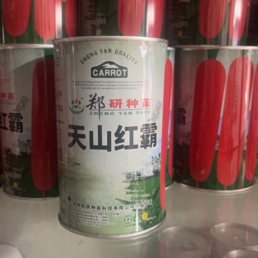 天山红霸胡萝卜