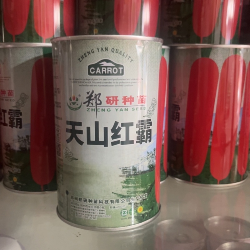 天山红霸胡萝卜