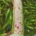 优质鲜玉米，甜玉米，花糯，白糯