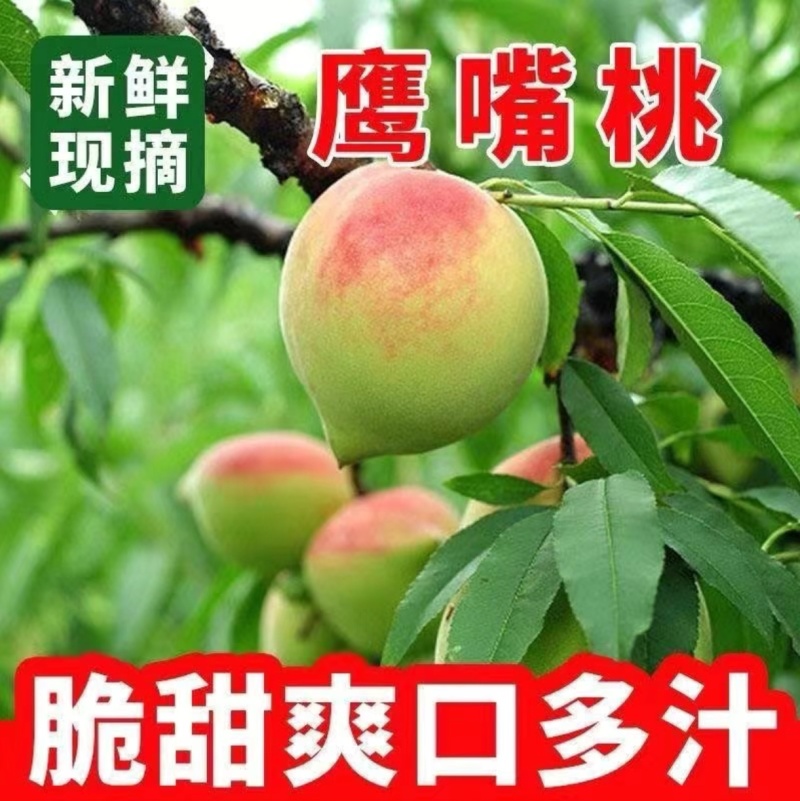 云南特产鹰嘴桃产地现货一件代发抖音快手淘宝京东