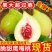 云南特产鹰嘴桃产地现货一件代发抖音快手淘宝京东