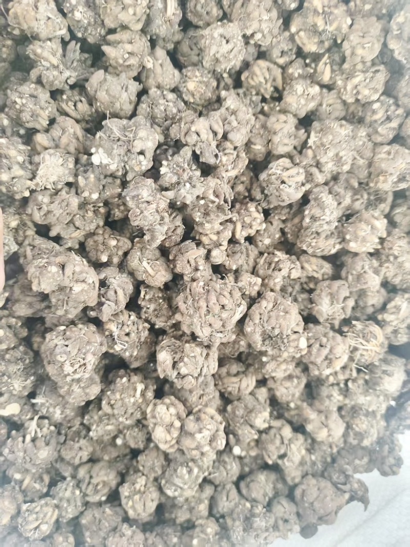 黄皮黑皮野生半野生各种规格