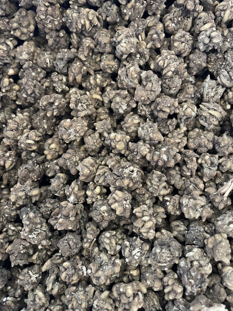 黄皮黑皮野生半野生各种规格