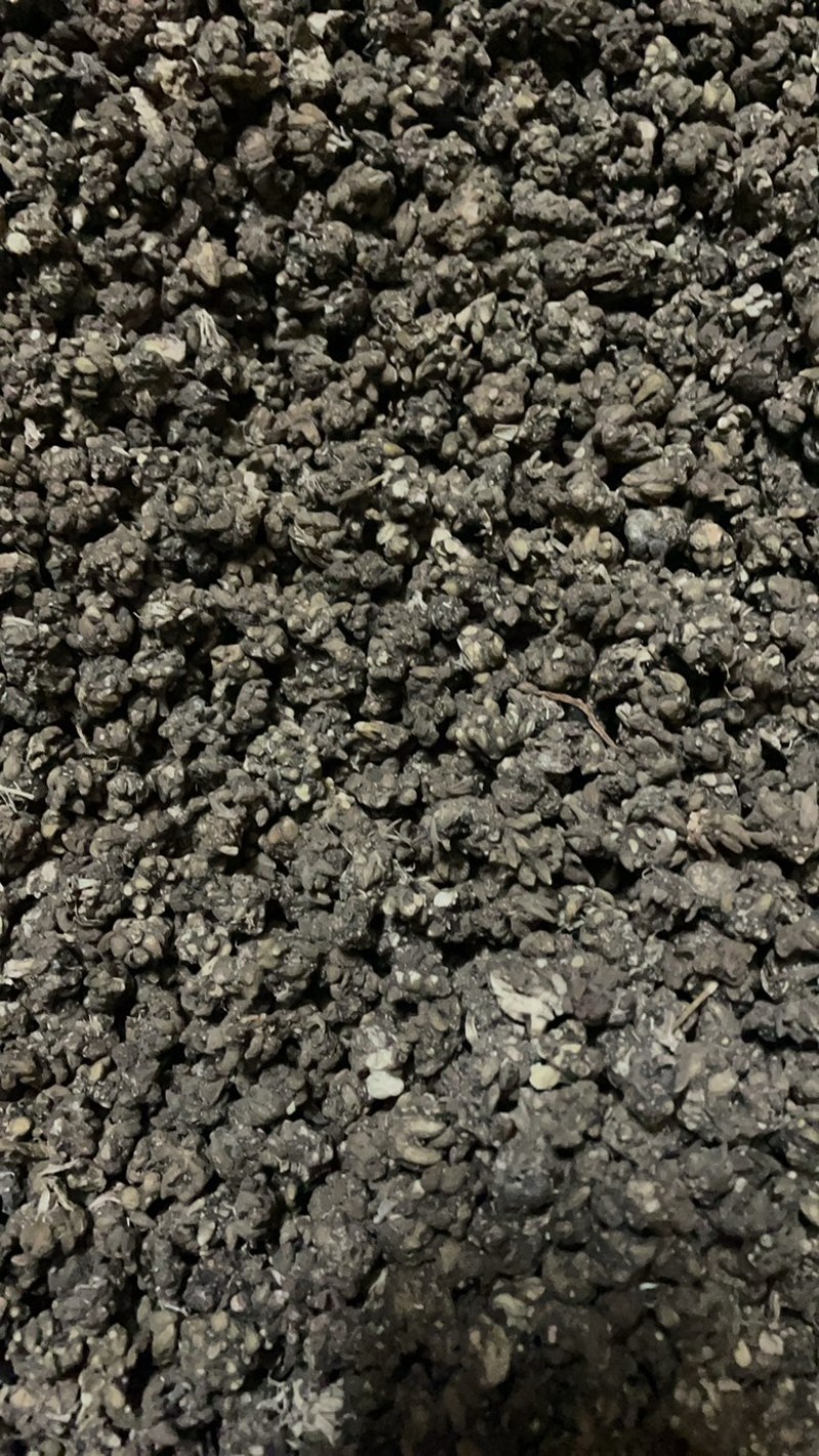 黄皮黑皮野生半野生各种规格