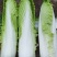 高山绍菜