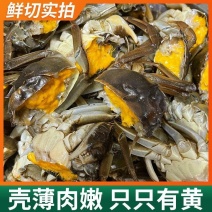 【万人合作商】盘锦稻河蟹毛公1母1公1.5公保肥社区团购