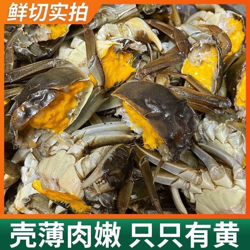 【万人合作商】盘锦稻河蟹毛公1母1公1.5公保肥社区团购