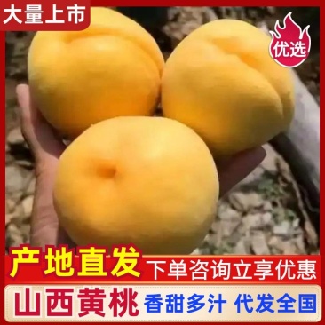 黄金蜜3号，口感甜脆，产地直发。