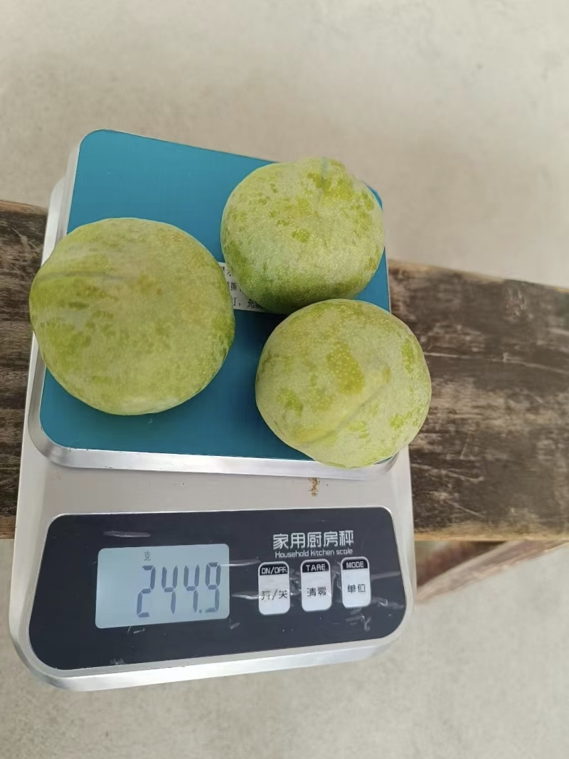 奈李纯甜无酸个头均匀，口感纯甜一手货源