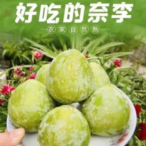 李子.奈李个头均匀口感脆甜一手货源
