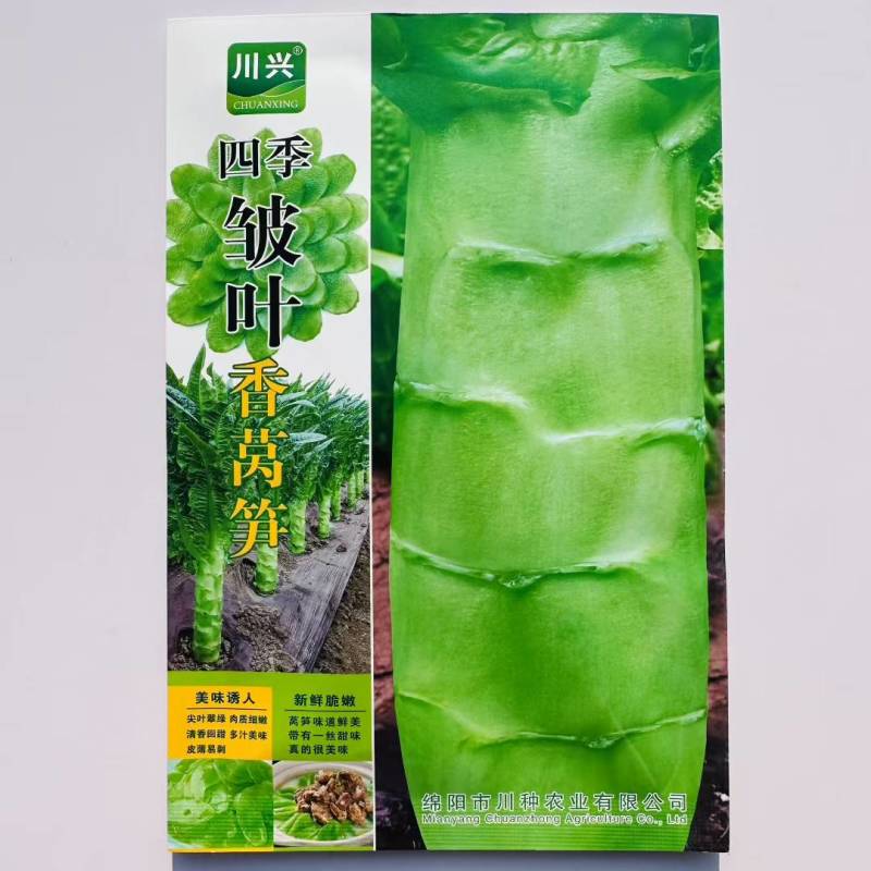 川兴四季皱叶香莴笋种子清香脆嫩高产耐热抗病蔬菜莴苣种籽夏