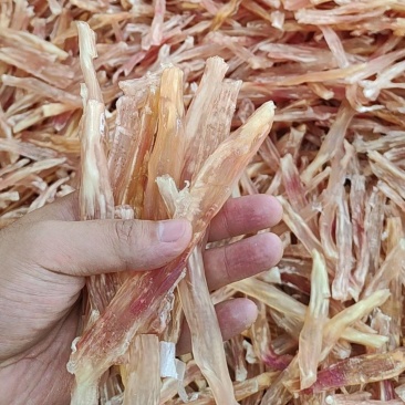 海味干货牛蹄筋一字筋