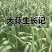 大青颗蒜种大量上市供电商超市批发市场质量保证价格低