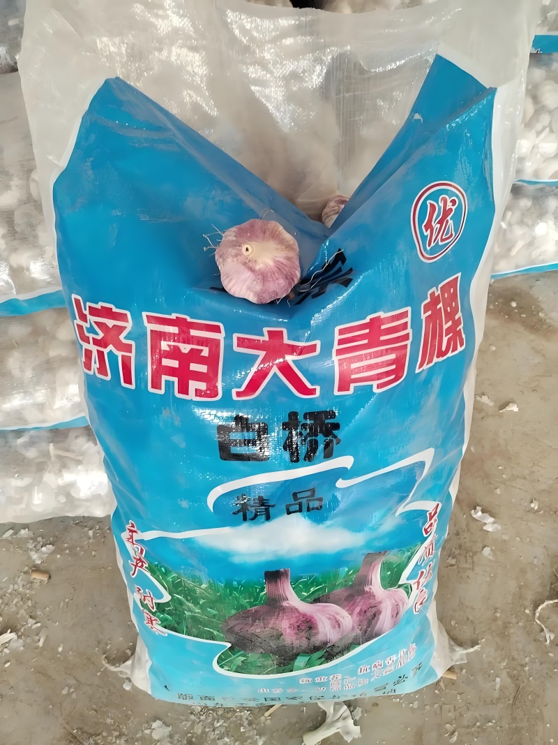 大青颗蒜种大量上市供电商超市批发市场质量保证价格低