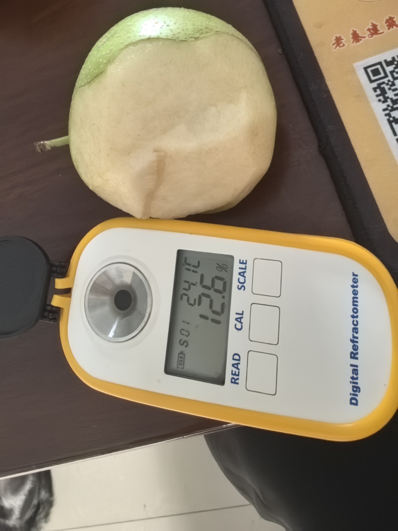 中梨四号大量现货（热卖中）规格齐全，可视频看货代发全国
