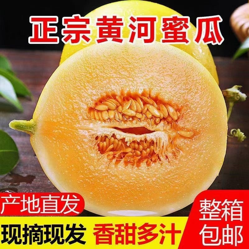 金红宝大量上市