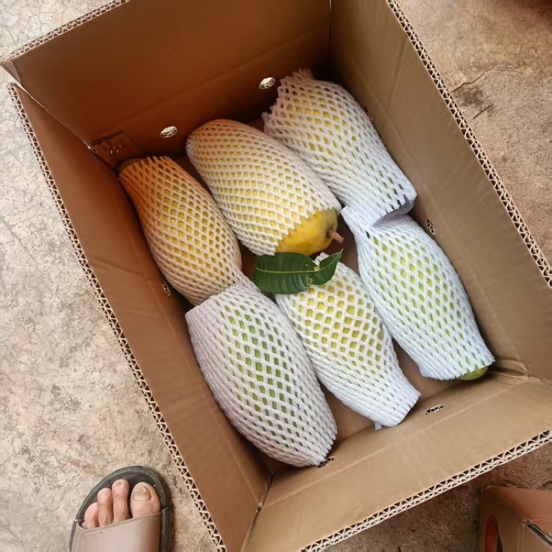 鹰嘴芒，自家种植，价格可谈，大量有货，欢迎各位老板咨询采购