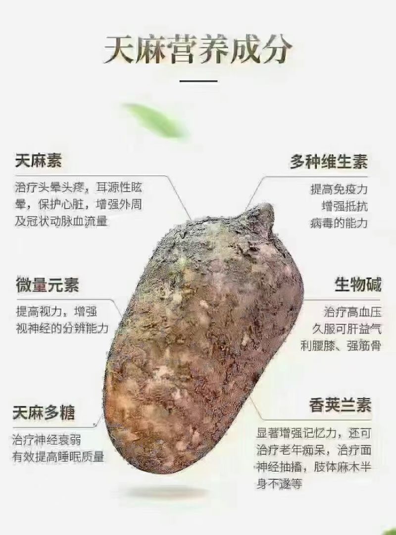 干天麻1斤也批发产地直发深山老林非云南天麻