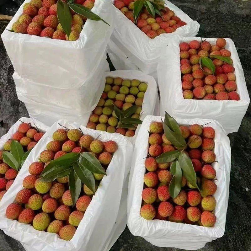 精品妃子笑荔枝，包邮到家，一手货源，品质保证，欢迎选购