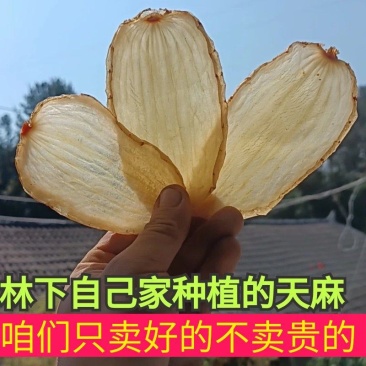 干天麻天麻1斤也批发天麻片产地直发非云南天麻