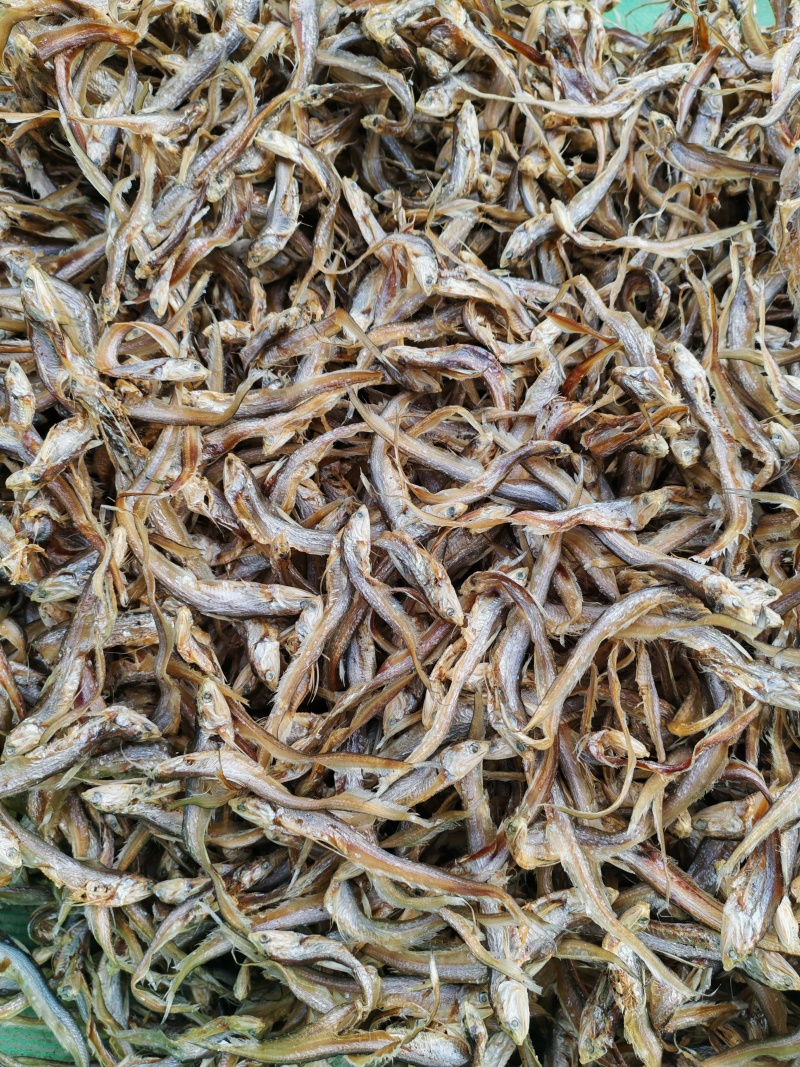 毛刀鱼干！！！！！！！！！！！！！！！！！！！