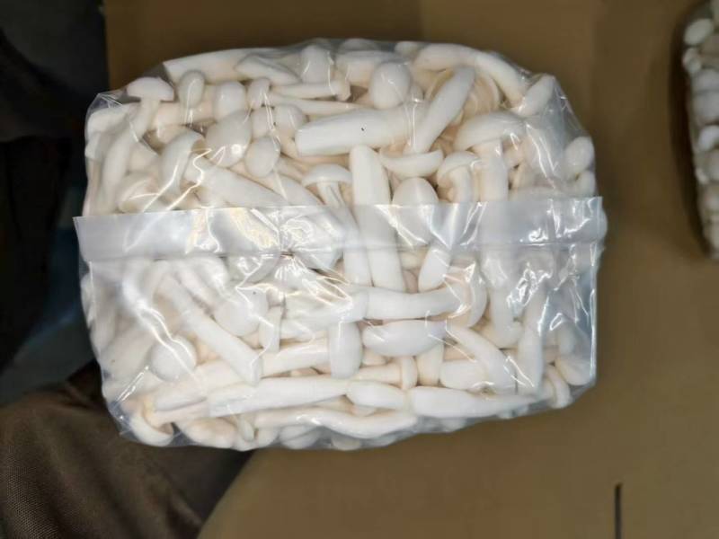 白玉菇