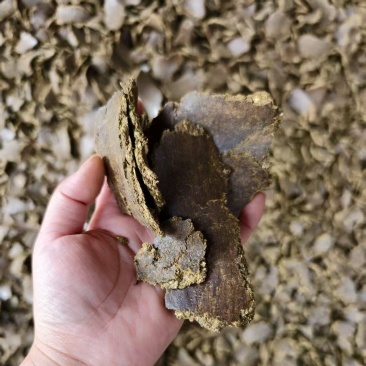 棉籽饼有机肥
