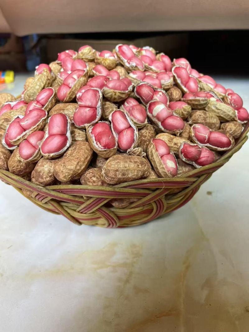 红皮花生产地直供大量有货，对接超市电商批发市场，全国发货