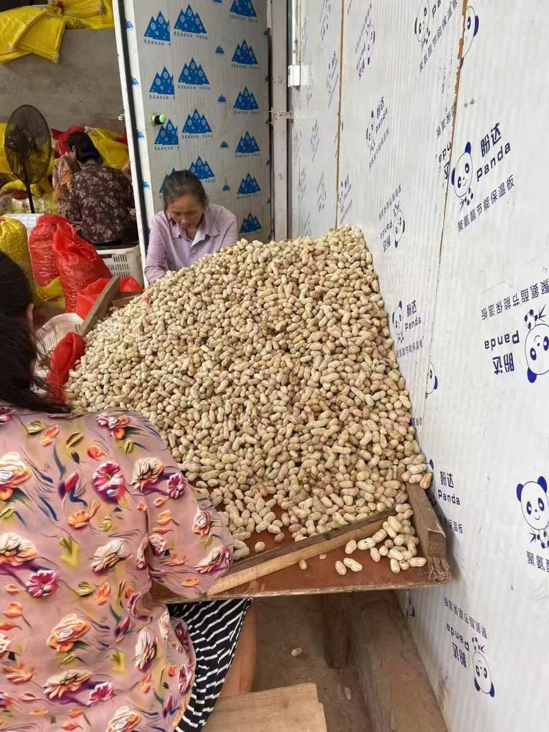 红皮花生产地直供大量有货，对接超市电商批发市场，全国发货