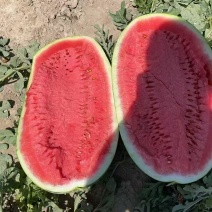 宁夏西瓜产地直发包熟包甜量大质优全国发货