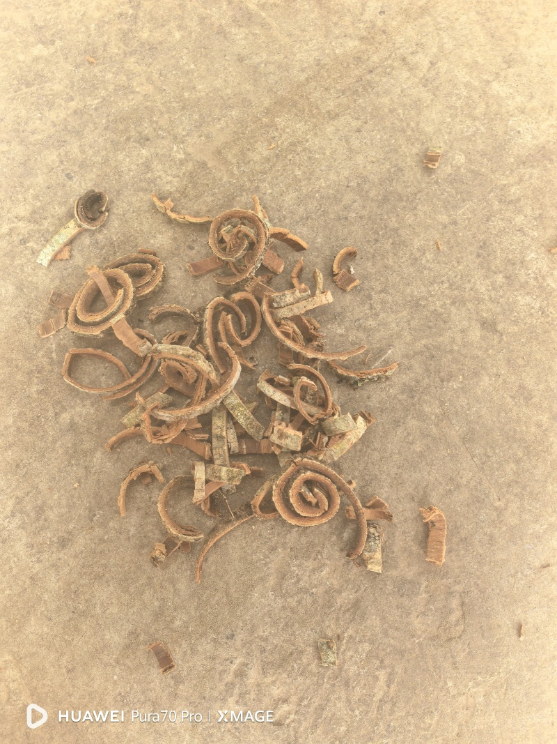 厚朴丝源头工厂万亩厚朴种植基地直供品质保证