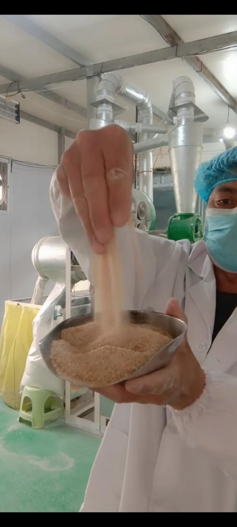 石磨全麦粉量大价格更低，老石磨面粉原味小麦粉