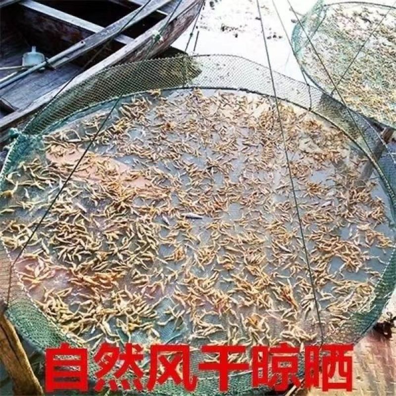 微山湖特产淡水湖小河虾干湖虾干十成干度淡干虾干无盐淡干
