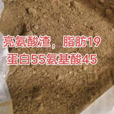 亮氨酸渣