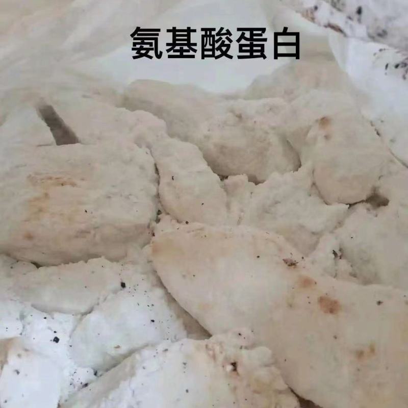 天门冬氨酸渣