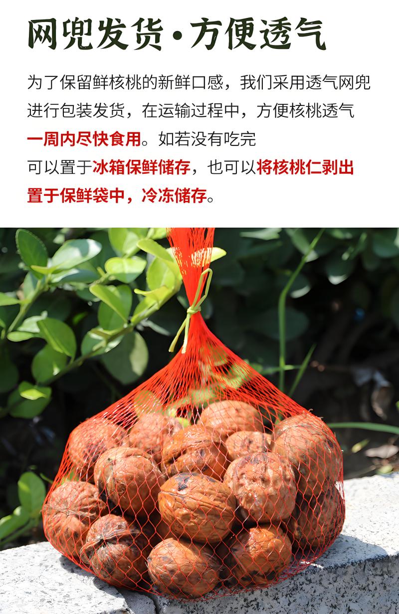 攀枝花新鲜核桃，批发、一件代发。老人孕妇小孩都喜欢。
