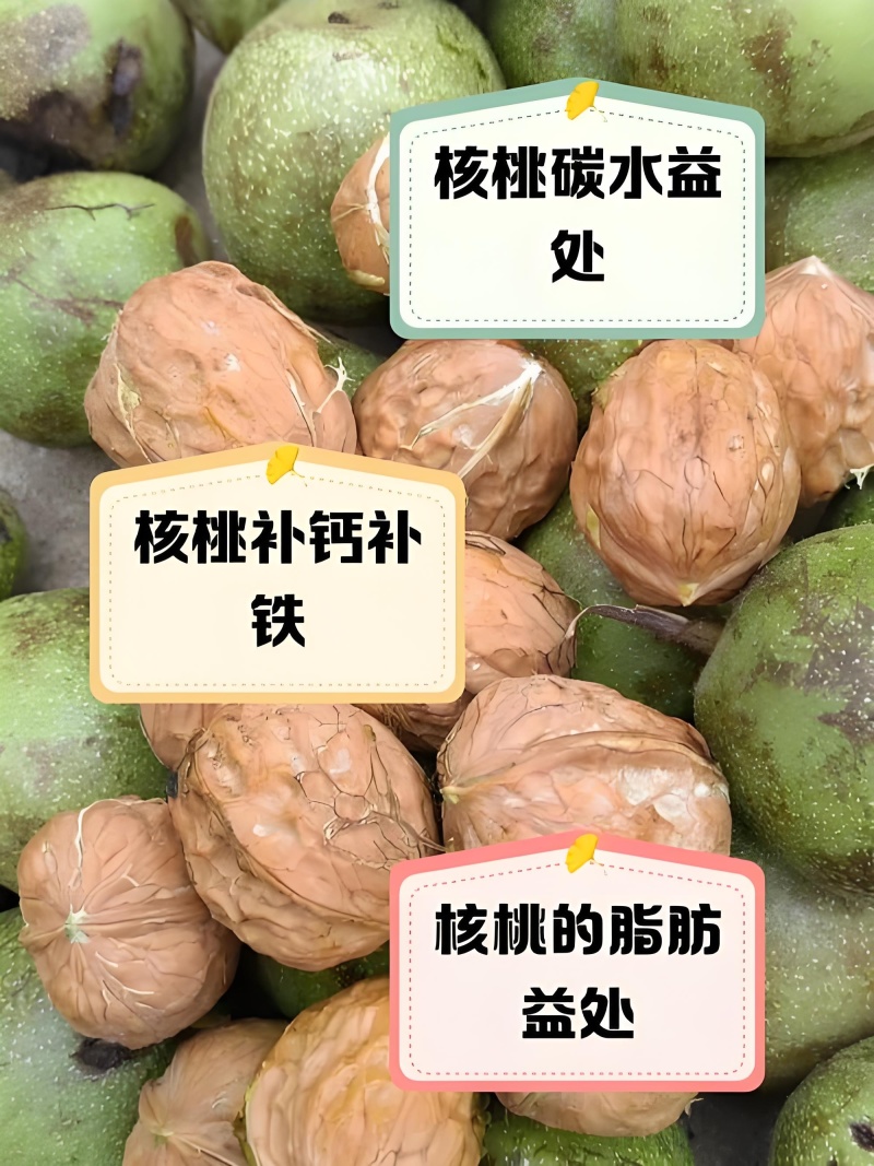 攀枝花新鲜核桃，批发、一件代发。老人孕妇小孩都喜欢。