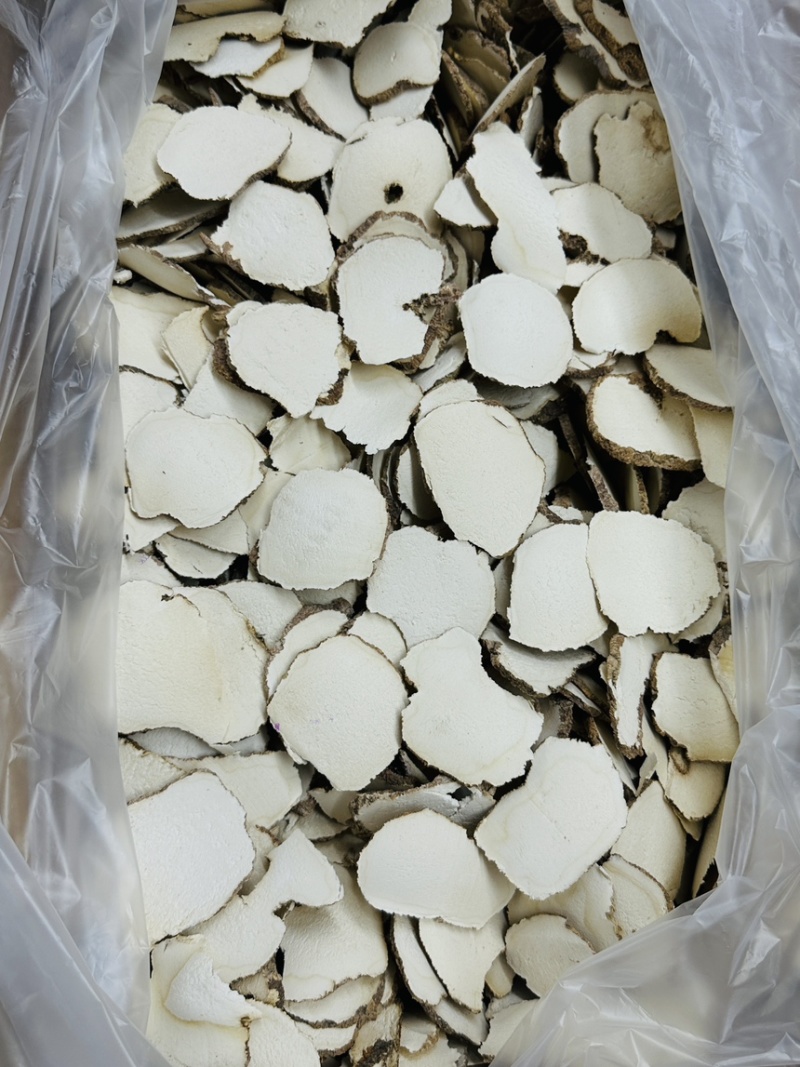 精选虎乳菌，纯手工精细切片，保留原有营养