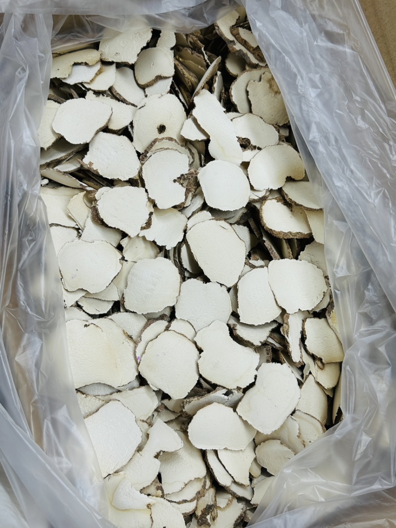 精选虎乳菌，纯手工精细切片，保留原有营养
