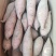 开封沙地龙九大量供应