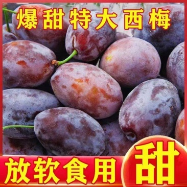 《一件代发》四川女神西梅法兰西西梅孕妇水果