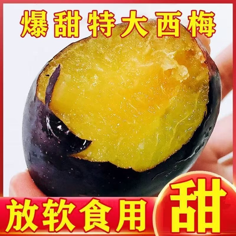 《一件代发》四川女神西梅法兰西西梅孕妇水果