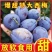《一件代发》四川女神西梅法兰西西梅孕妇水果
