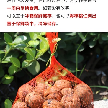 攀枝花新鲜核桃，批发、一件代发。老人孕妇小孩都喜欢。